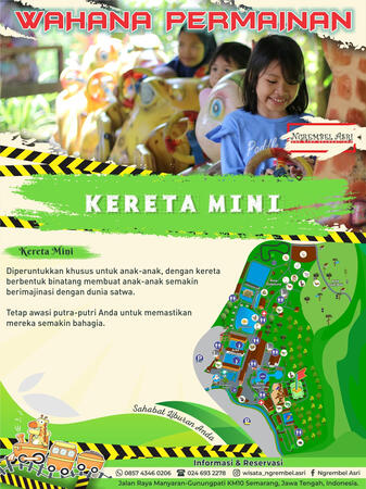 Kereta Mini