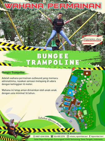 Bungee Trampoline