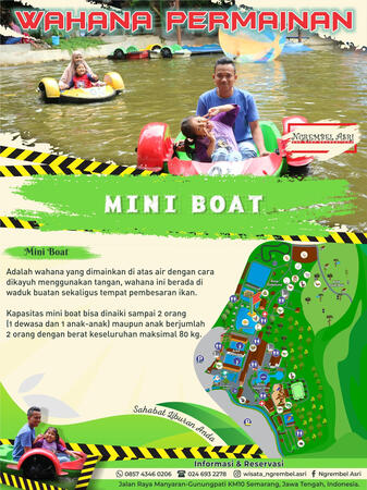 Mini Boat