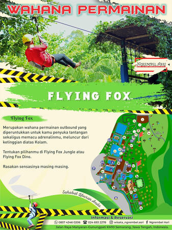 Flying Fox