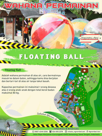 Floating Ball